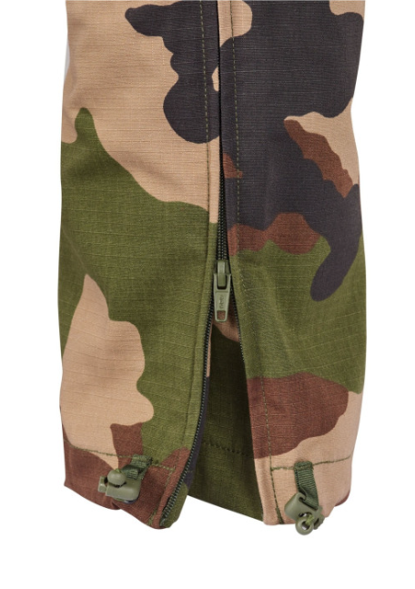 Vue 5