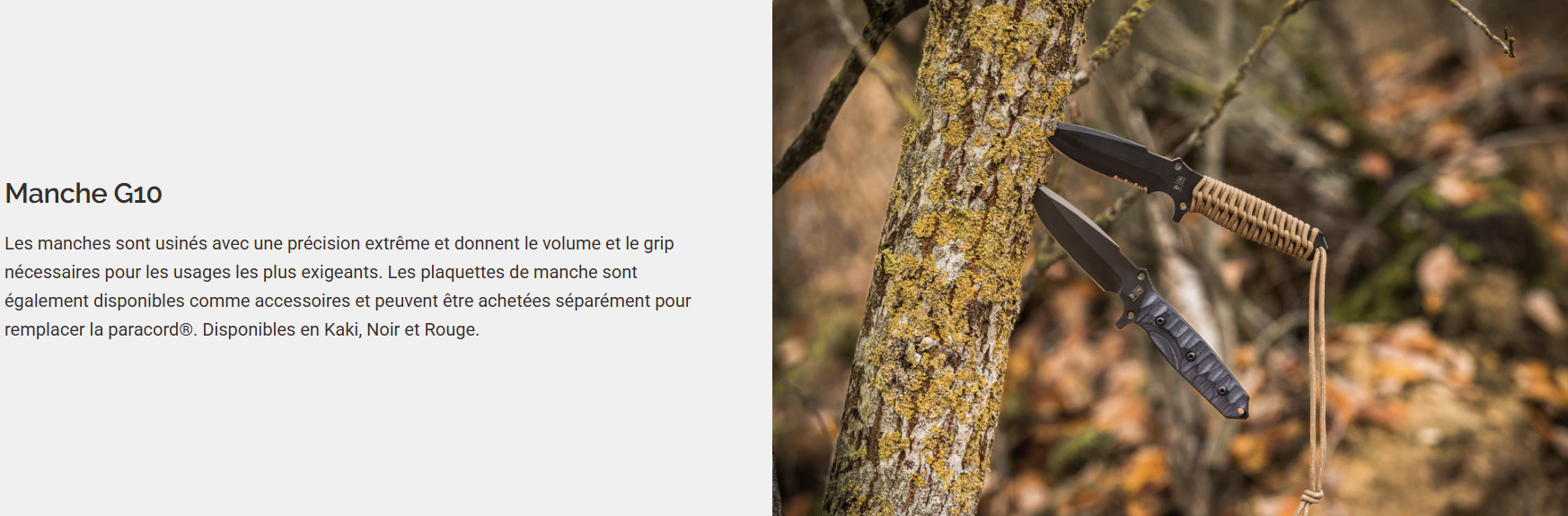 Vue 6