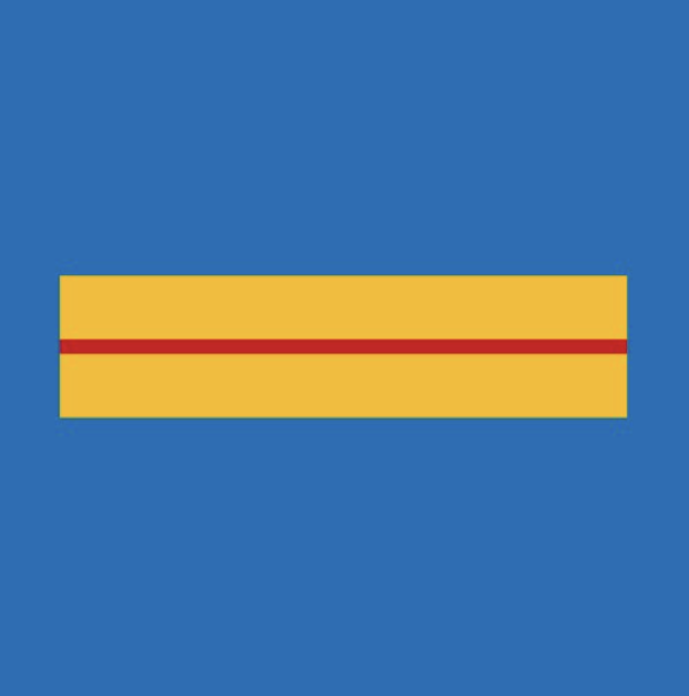 Grade Police Municipale BRIGADIER (LPSA)