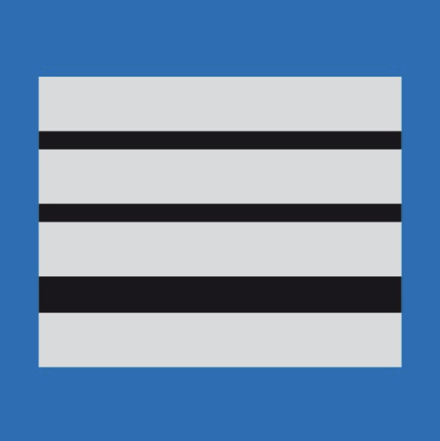 Grade Police Municipale DIRECTEUR (LPSA)