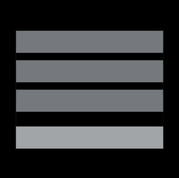 Grade Police Municipale DIRECTEUR STAGIAIRE (LPSA)